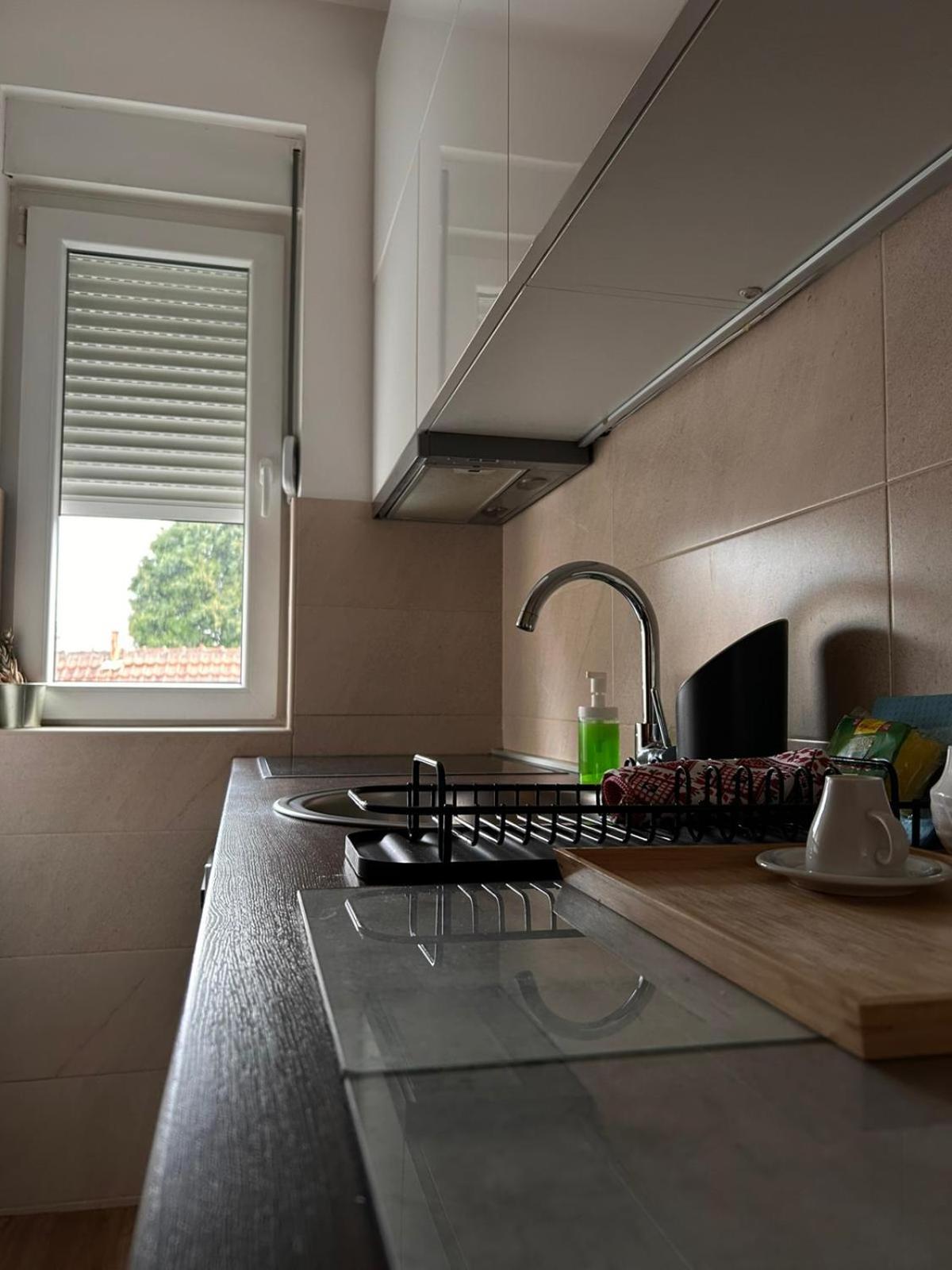 Flat Kosutnjak 9