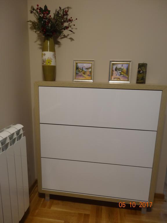 Flat Kosutnjak 9