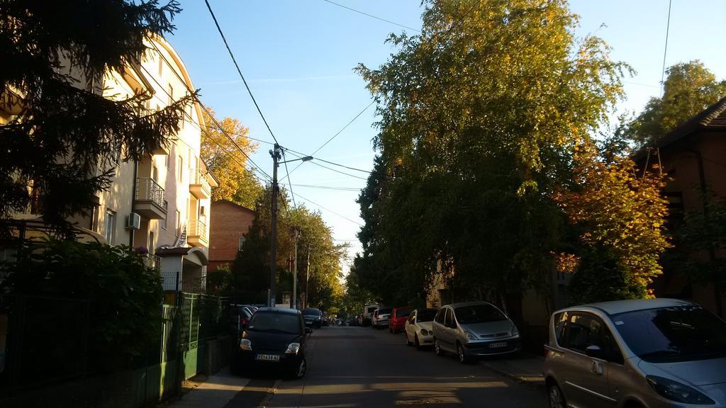 Flat Kosutnjak 9 Apartman